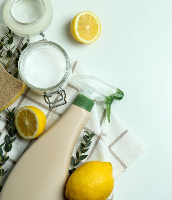 eco friendly cleaning supplies