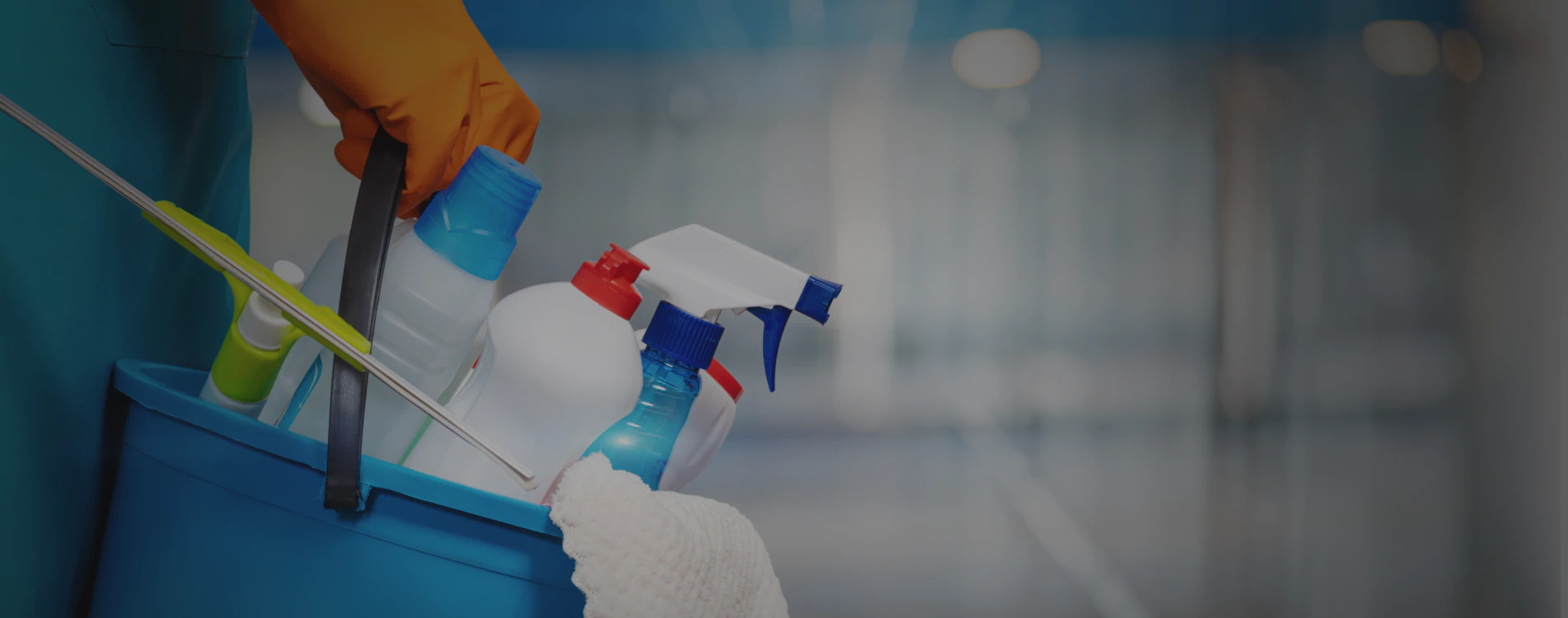 mold free living room